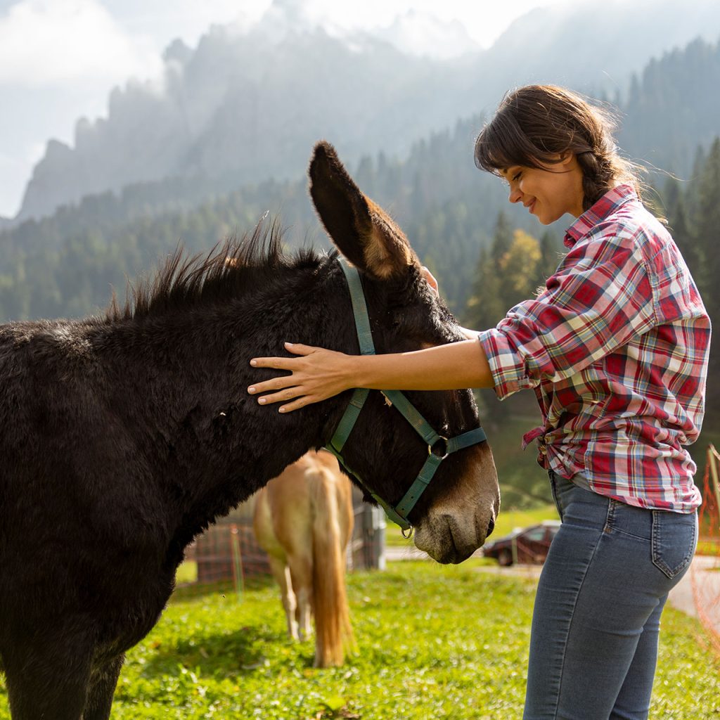 rifugio-cereda-passo-trentino-activity-estate-summer-fattoria-g3