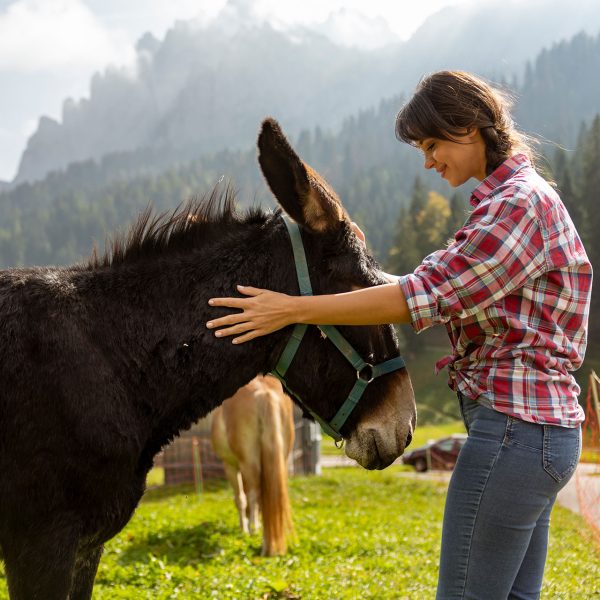 rifugio-cereda-passo-trentino-activity-estate-summer-fattoria-g3